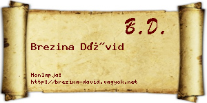 Brezina Dávid névjegykártya