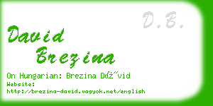 david brezina business card